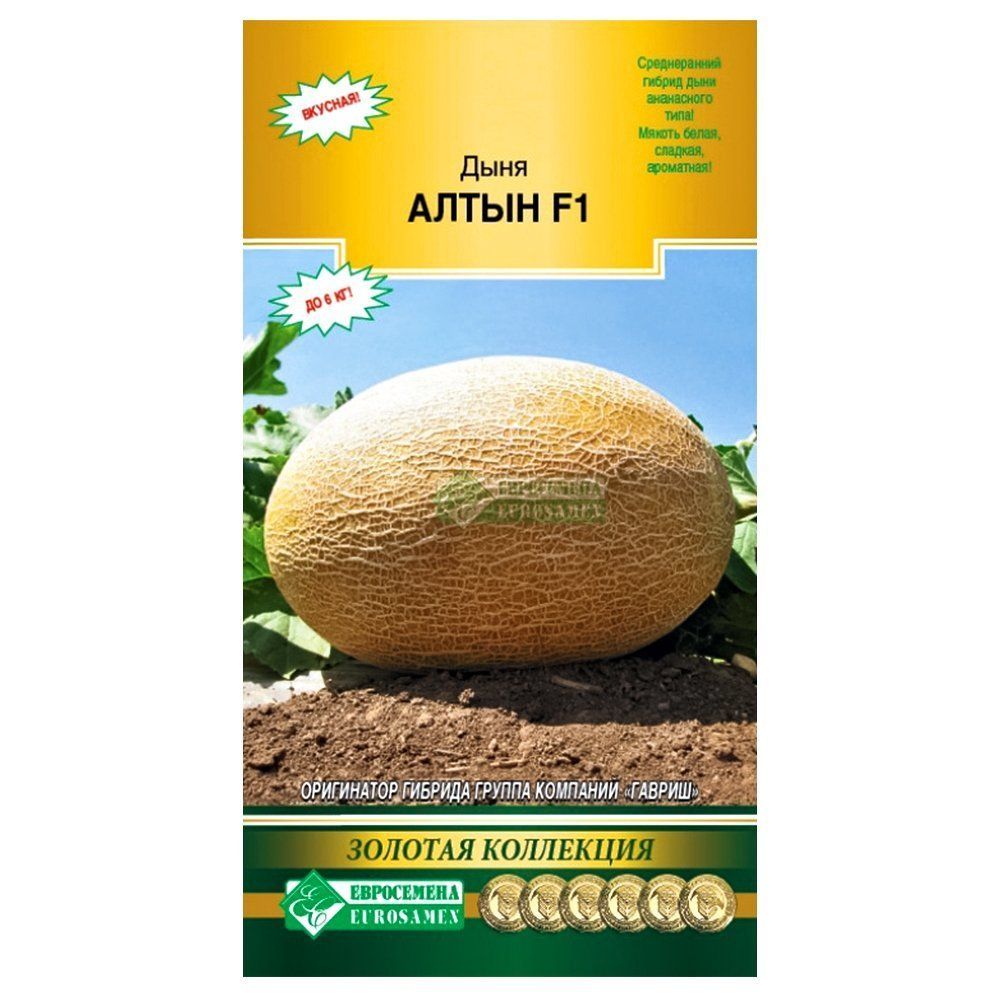 ������ ������ ���� ����� F1 ����������   ����