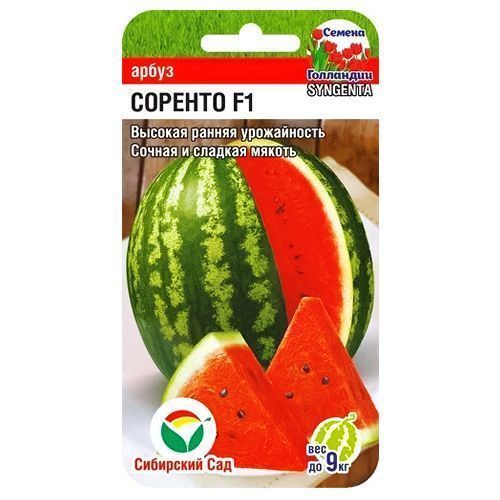 ������ ������ ����� ������� F1 ��������� ���   ����