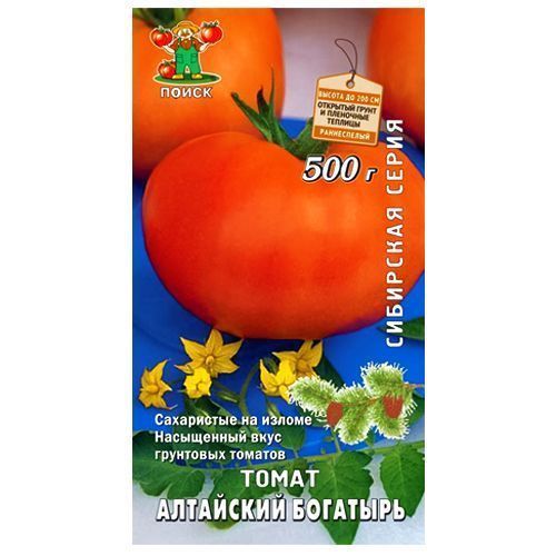 ������ ������ ����� ��������� �������� �����   ����