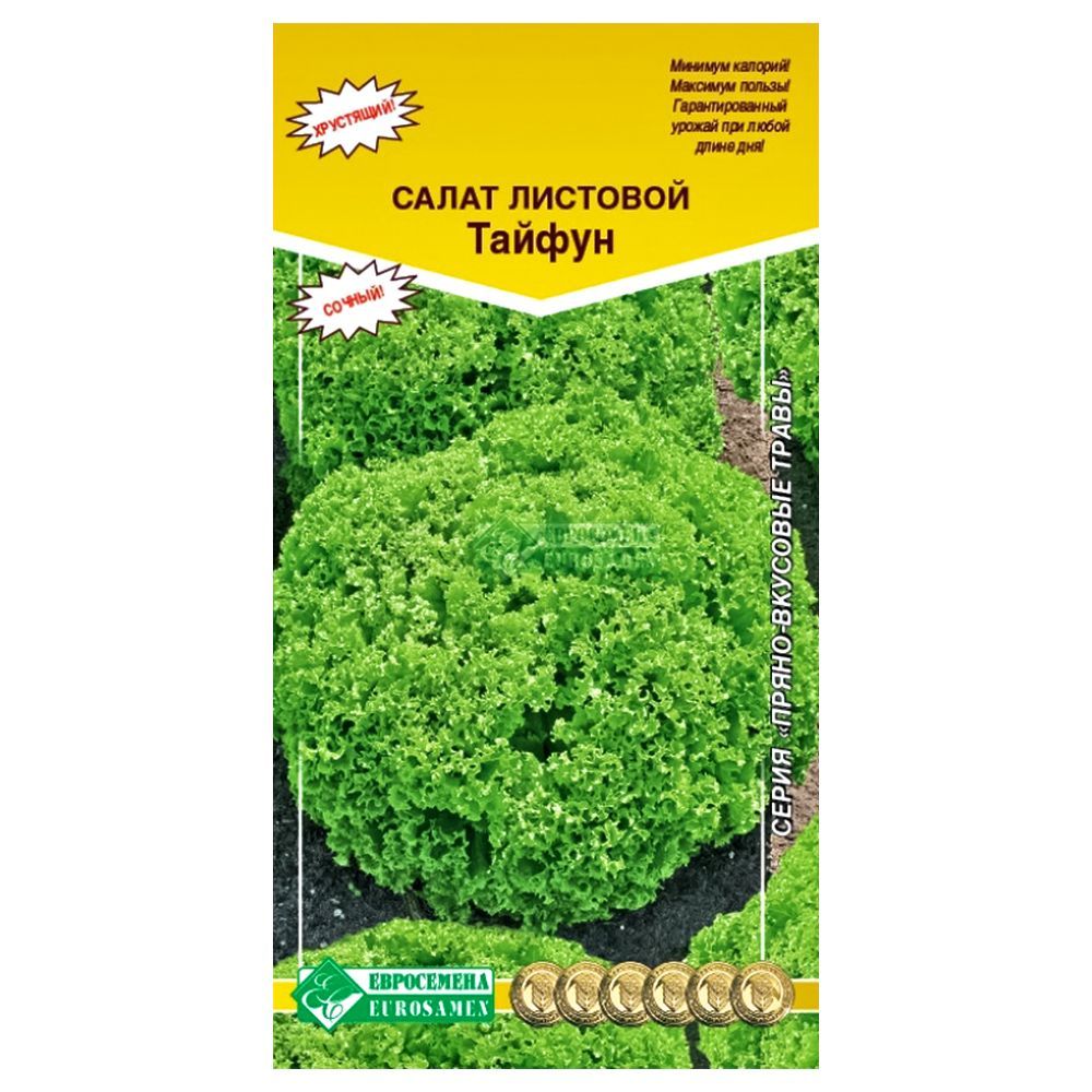 ������ ������ ����� ������ ����������   ����