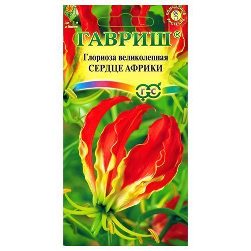 ������ ������ �������� ������������ ������ ������ ������   ����