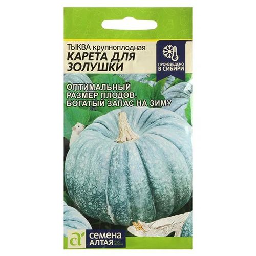 ������ ������ ����� ������ ��� ������� ������ �����   ����