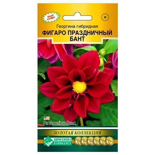 ������ ������ �������� ������ ����������� ���� ����������   ����