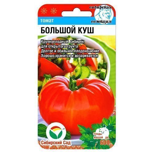 ������ ������ ����� ������� ��� ��������� ���   ����