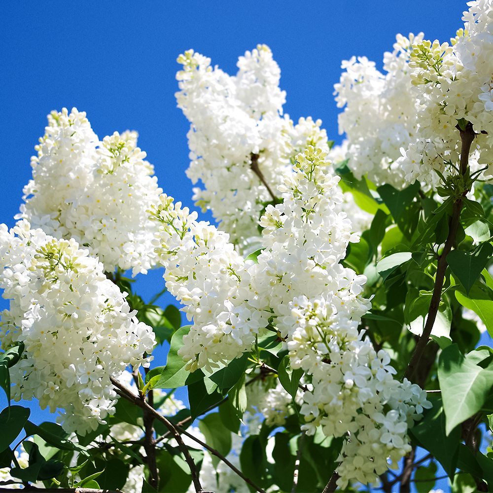 ������ ������ ������ ��� �������� ������� ����� �`���   ����