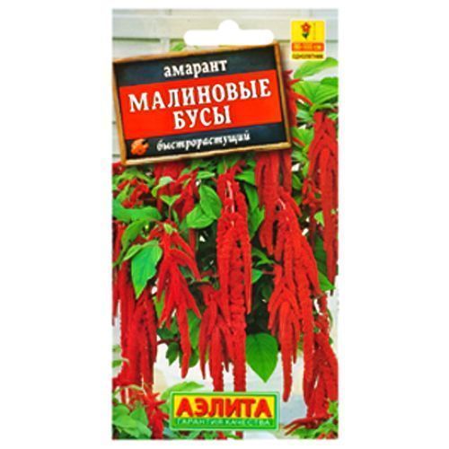 ������ ������ ������� ��������� ���� ������   ����