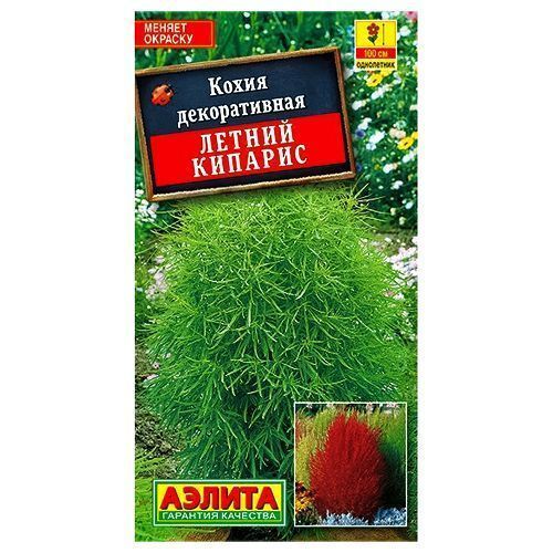 ������ ������ ����� ������ ������� ������   ����