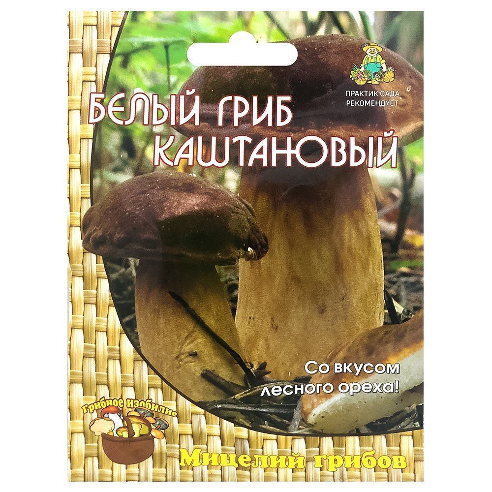 ������ ������ ����� ���� ���������� �����   ����