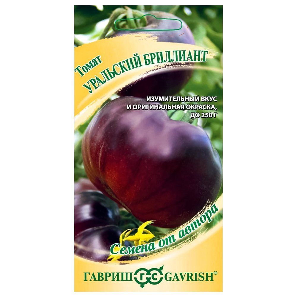 ������ ������ ����� ��������� ��������� ������   ����