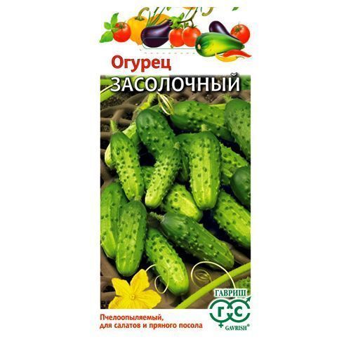 ������ ������ ������ ���������� ������   ����