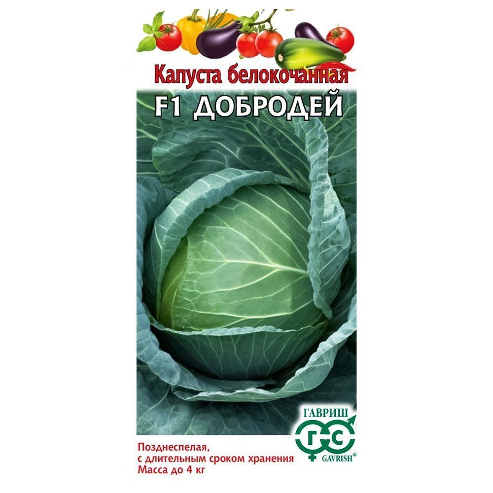 ������ ������ ������� ������������ �������� F1 ������   ����