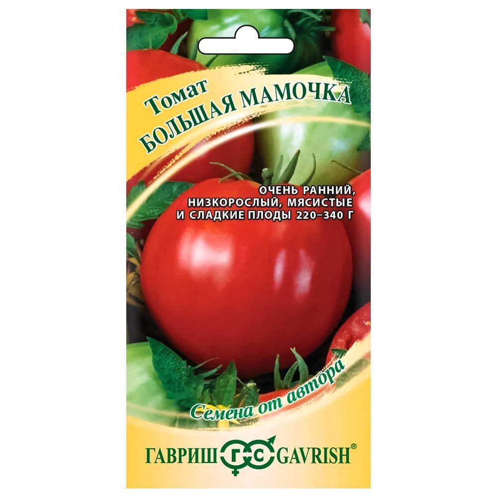 ������ ������ ����� ������� ������� ������   ����