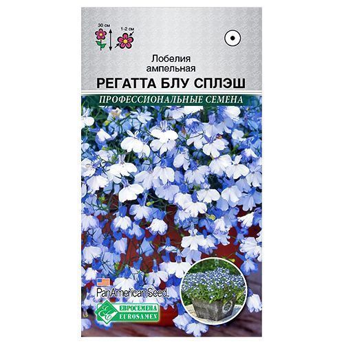 ������ ������ ������� ��������� ������� ��� ����� ����������   ����