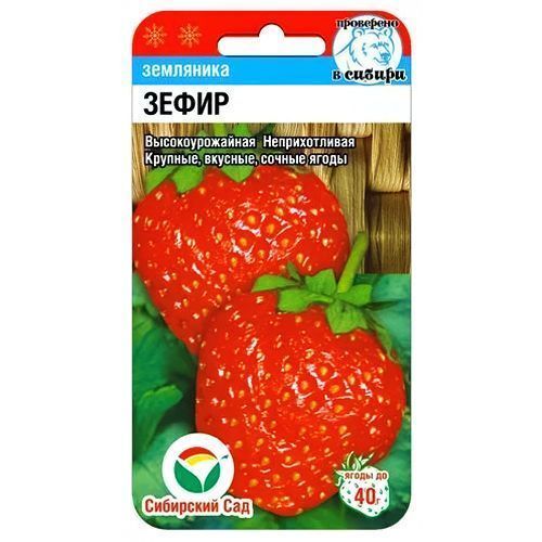 ������ ������ ��������� ������������� �����, ������ ��������� ���   ����