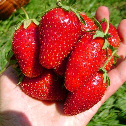 ������ ������ ��������� ������������� ����   ����