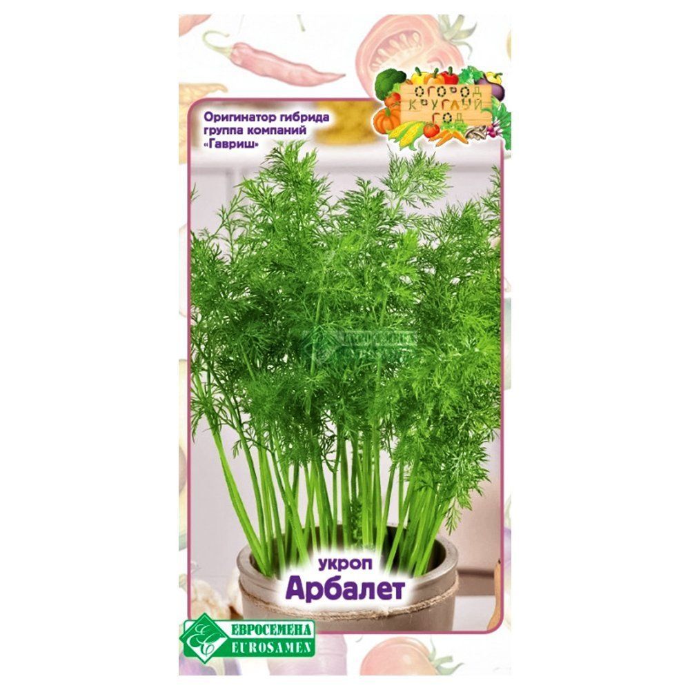 ������ ������ ����� ������� ����������   ����