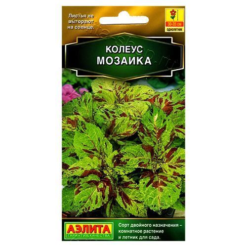 ������ ������ ������ ����� ������� ������   ����