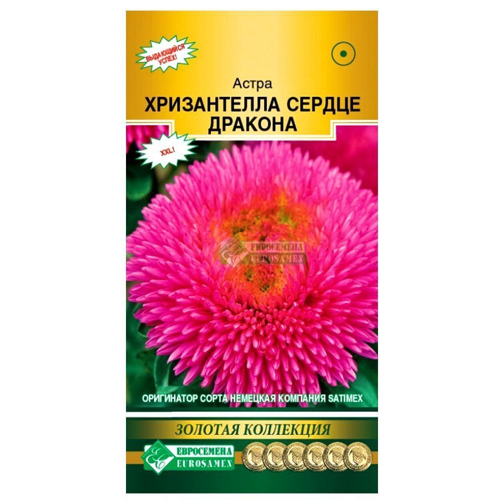 ������ ������ ����� ��������� ����������� ������ ������� ����������   ����