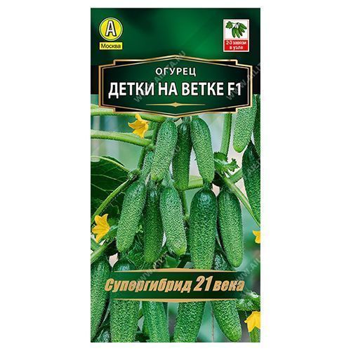 ������ ������ ������ ����� �� ����� F1 ������   ����