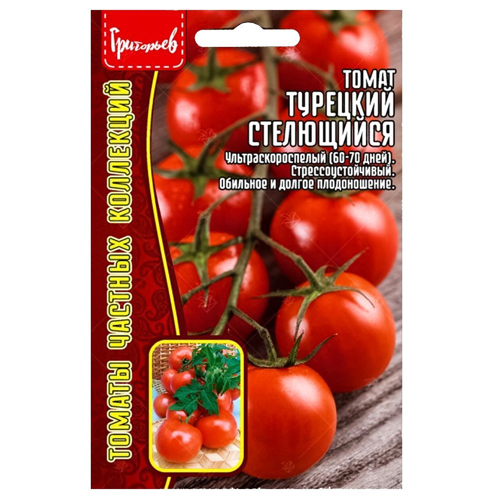 ������ ������ ����� �������� ���������� ������ ������   ����