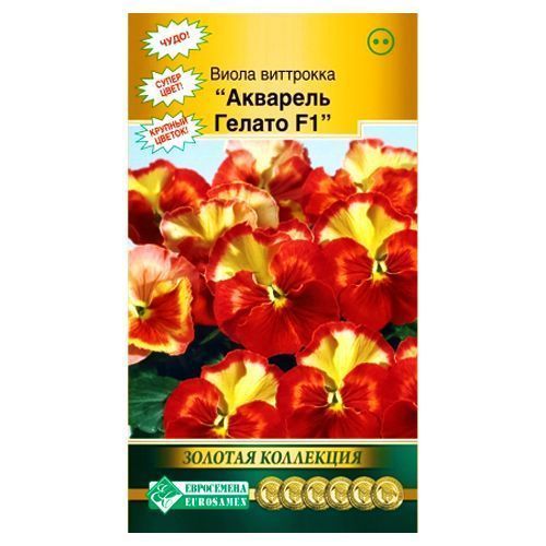 ������ ������ ����� �������� �������� ������ F1 ����������   ����