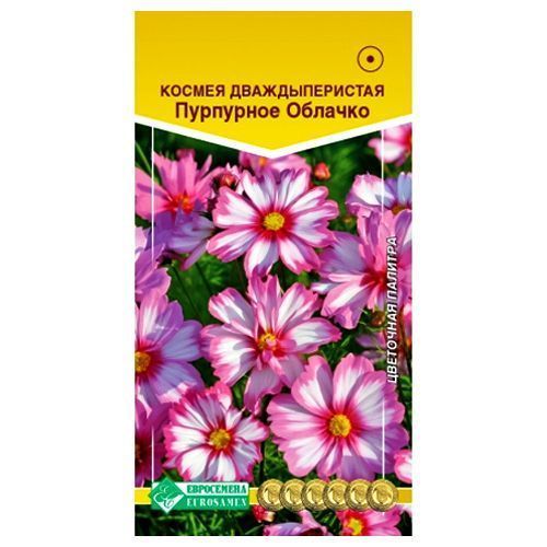 ������ ������ ������ ��������� ������� ����������   ����