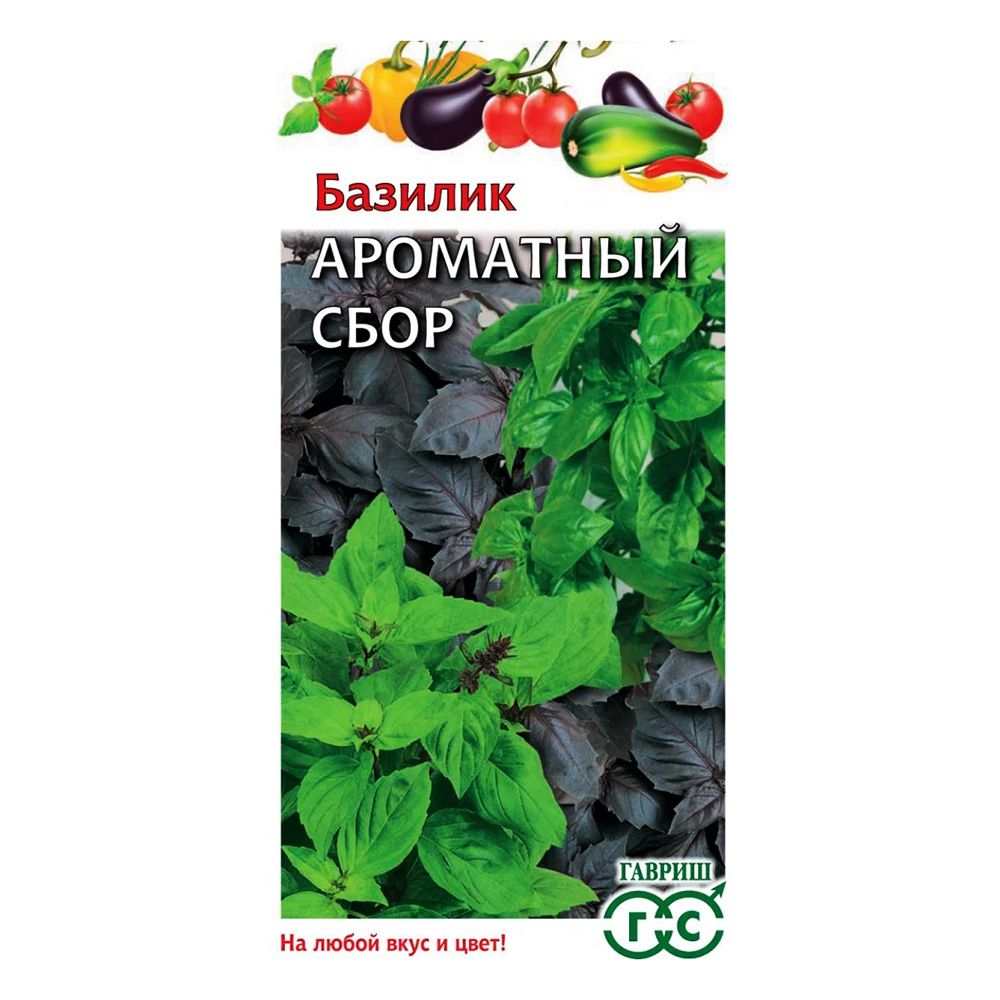 ������ ������ ������� ��������� ����, ����� ������ ������   ����