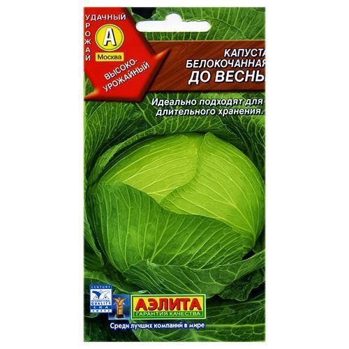 ������ ������ ������� ������������ �� ����� ������   ����