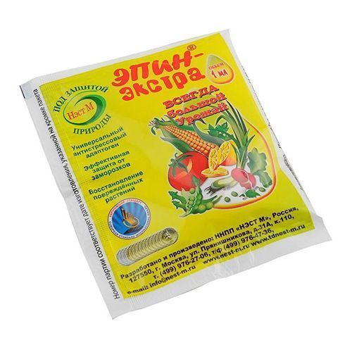 ������ ������ ����, ������������� 1 ��   ����