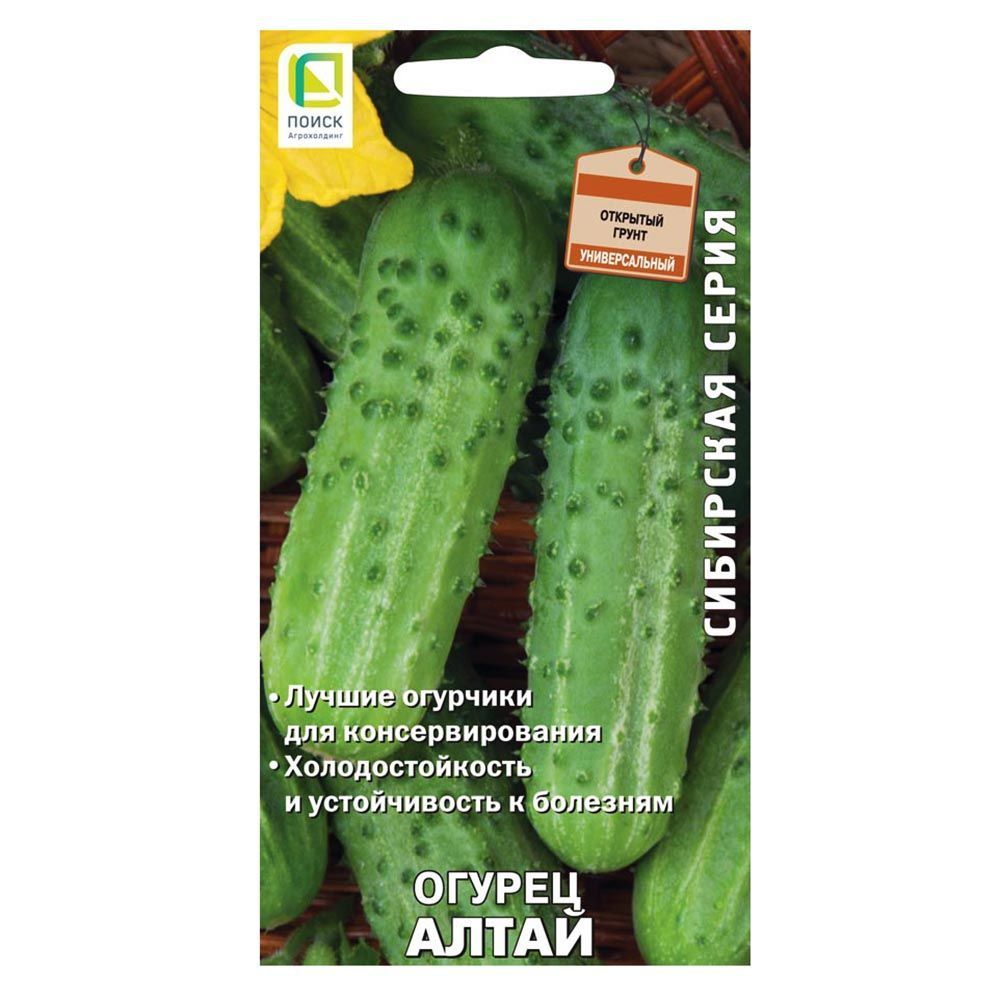 ������ ������ ������ ����� �����   ����