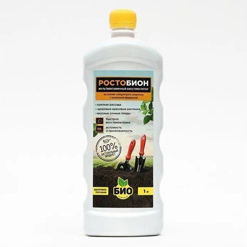 ������ ������ ���-�������� ���������, ������������ ��������� 1 �   ����