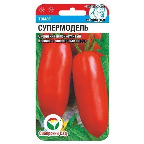 ������ ������ ����� ����������� ��������� ���   ����