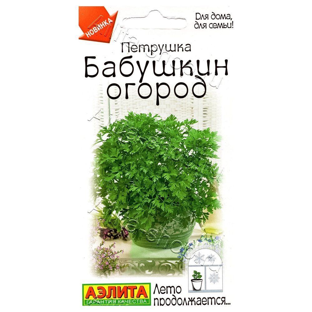 ������ ������ �������� �������� �������� ������ ������   ����