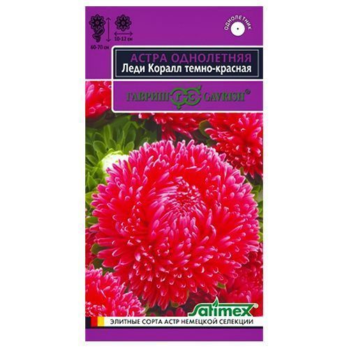 ������ ������ ����� ���� ����� �����-������� ������   ����