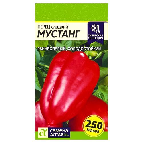 ������ ������ ����� ������� ������� ������ �����   ����