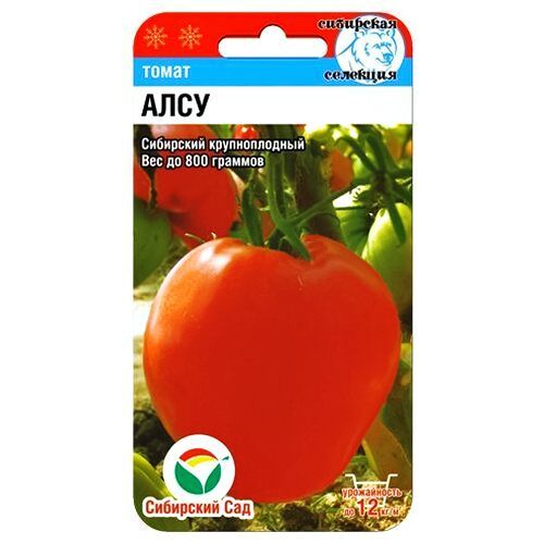 ������ ������ ����� ���� ��������� ���   ����