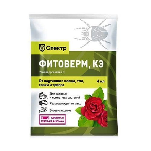 ������ ������ ������ - ��������, ��, ����������� �� ��������� 4 ��   ����