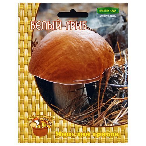 ������ ������ ����� ���� �����   ����