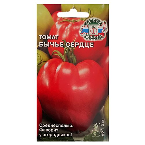 ������ ������ ����� ����� ������ �����   ����