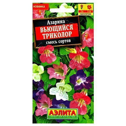 ������ ������ ������� �������� ��������, ����� ������� ������   ����