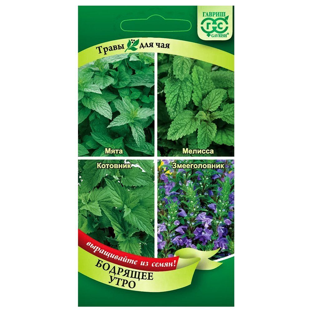 ������ ������ ����� ��� ��� �������� ���� ������   ����