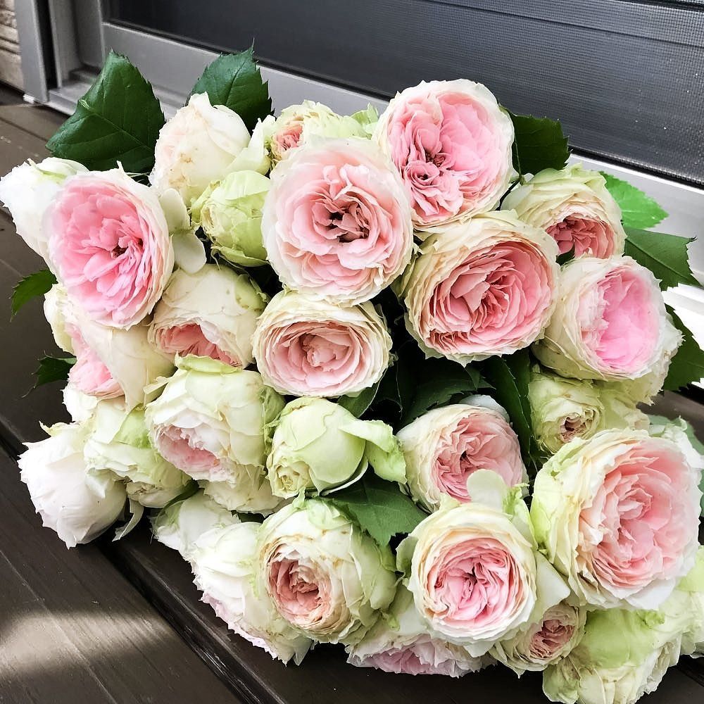 ������ ������ ���� ���������� �������������� �������   ����