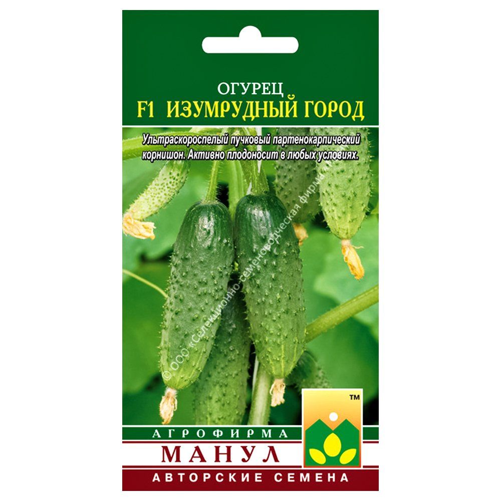 ������ ������ ������ ���������� ����� F1 �����   ����