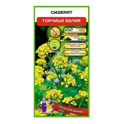 ������ ������ ������� ������� ����� ��������� ������   ����