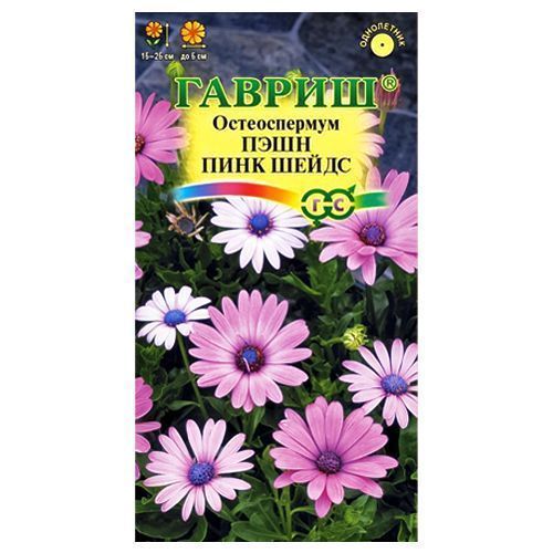 ������ ������ ������������ ���� ���� �����, ����� ������� ������   ����