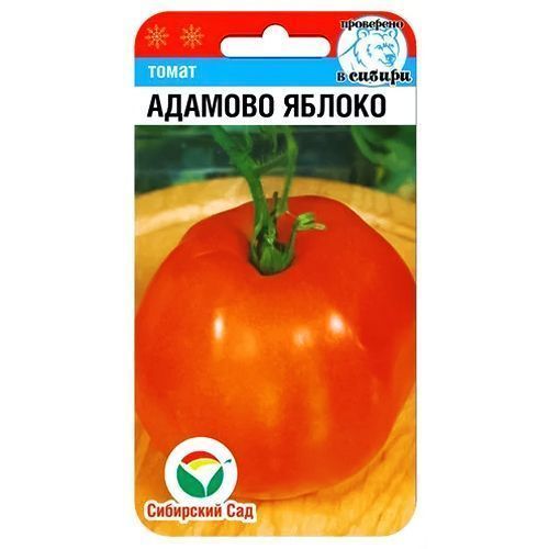 ������ ������ ����� ������� ������ ��������� ���   ����