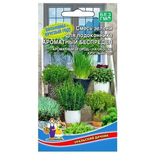 ������ ������ ����� ������ ��������� ���������, ����� ������ ��������� ������   ����