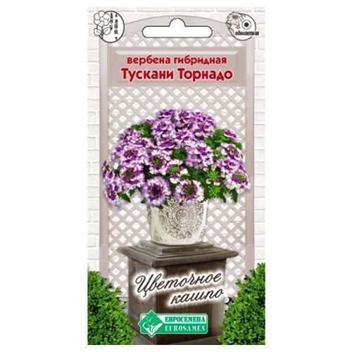 ������ ������ ������� ������� ������� ����������   ����