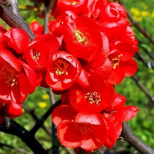 ������ ������ ���� �������� ����� ����   ����