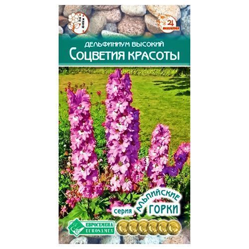 ������ ������ ���������� �������� ������� ����������   ����